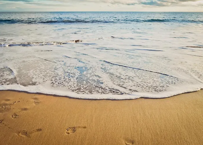 Koka16 Pool アパート プラヤ・デル・イングレス